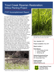 Trout Creek Riparian Restoration: Willow Planting Project  FY07 Accomplishment Report