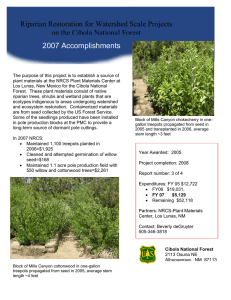 Riparian Restoration for Watershed Scale Projects on the Cibola National Forest