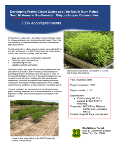 2006 Accomplishments Dalea Seed Mixtures in Southwestern Pinyon/Juniper Communities