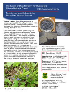 Production of Dwarf Bilberry for Outplanting - Ottawa National Forest 2005 Accomplishments