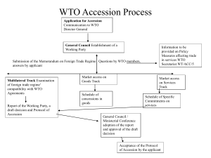 WTO Accession Process