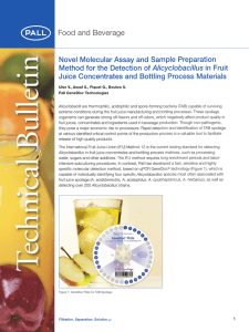 Novel Molecular Assay and Sample Preparation Alicyclobacillus