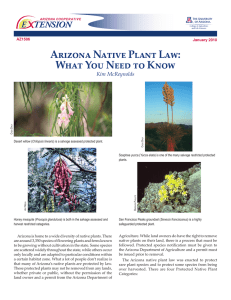 Arizona Native Plant Law: What You Need to Know Kim McReynolds