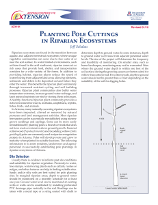 Planting Pole Cuttings in Riparian Ecosystems E    TENSION Jeff Schalau