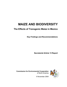 MAIZE AND BIODIVERSITY  The Effects of Transgenic Maize in Mexico