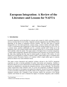 European Integration: A Review of the Literature and Lessons for NAFTA