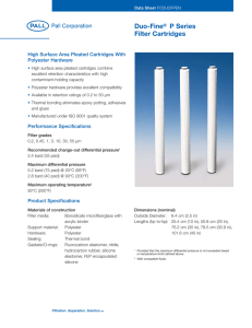 Duo-Fine P Series Filter Cartridges High Surface Area Pleated Cartridges With