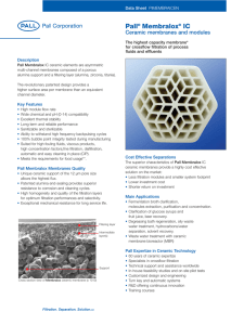 Pall Membralox IC Ceramic membranes and modules