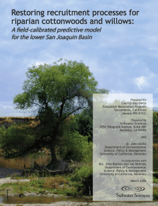 Restoring recruitment processes for riparian cottonwoods and willows: A field-calibrated predictive model