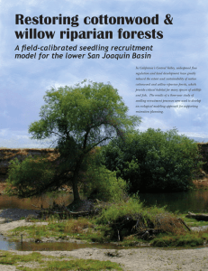 Restoring cottonwood &amp; willow riparian forests A field-calibrated seedling recruitment
