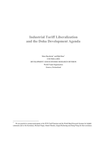 Industrial Tariff Liberalization and the Doha Development Agenda