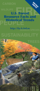 FIRE PEOPLE SUSTAINABILITY TREES