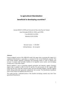 Is agricultural liberalization beneficial to developing countries?