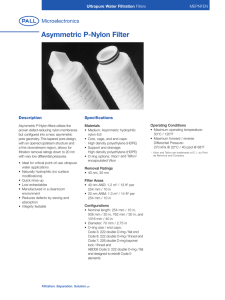 Asymmetric P-Nylon Filter Ultrapure Water Filtration MEPNFEN Description