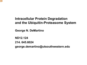 Intracellular Protein Degradation and the Ubiquitin-Proteasome System  George N. DeMartino