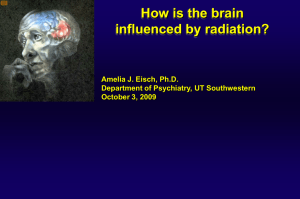 How is the brain influenced by radiation? Amelia J. Eisch, Ph.D.