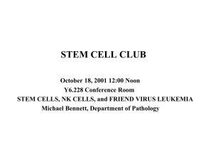 STEM CELL CLUB