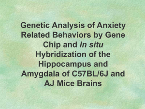 Genetic Analysis of Anxiety Related Behaviors by Gene In situ Hybridization of the