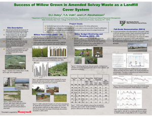 Success of Willow Grown in Amended Solvay Waste as a... Cover System D.J. Daley , T.A. Volk