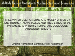 TREE WATER USE PATTERNS ARE MAINLY DRIVEN BY