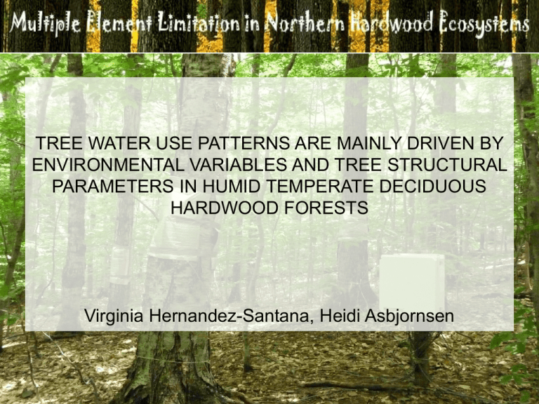 tree-water-use-patterns-are-mainly-driven-by