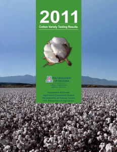 Cotton Variety Testing Results