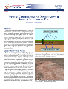 Factors Contributing to Development of Salinity Problems in Turf Introduction