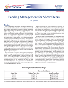 Feeding Management for Show Steers E    TENSION Selection Jim Sprinkle