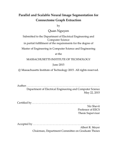 Parallel and Scalable Neural Image Segmentation for Connectome Graph Extraction Quan Nguyen