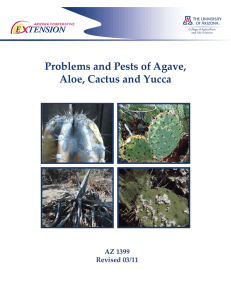 Problems and Pests of Agave, Aloe, Cactus and Yucca AZ 1399