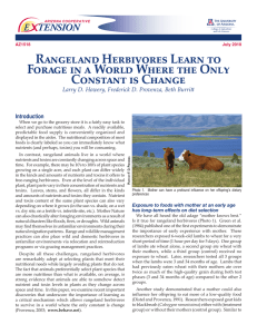 Rangeland Herbivores Learn to Forage in a World Where the Only