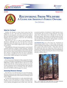 Recovering From Wildfire A Guide for Arizona’s Forest Owners Tom DeGomez