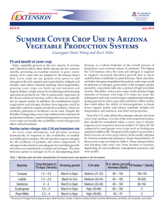 Summer Cover Crop Use in Arizona Vegetable Production Systems