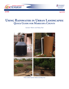 Using Rainwater in Urban Landscapes: Quick Guide for Maricopa County