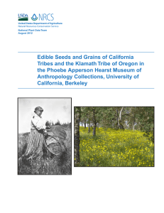 Edible Seeds and Grains of California