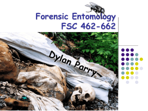 Forensic Entomology FSC 462-662