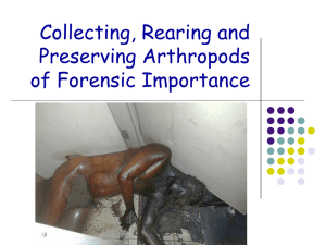 Collecting, Rearing and Preserving Arthropods of Forensic Importance