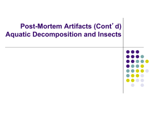 Post-Mortem Artifacts (Cont d) Aquatic Decomposition and Insects ’