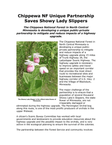 Chippewa NF Unique Partnership Saves Showy Lady Slippers