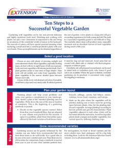 Ten Steps to a Successful Vegetable Garden E    TENSION