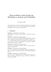 Open problems raised during the Workshop in Analysis and Probability July-August 2008