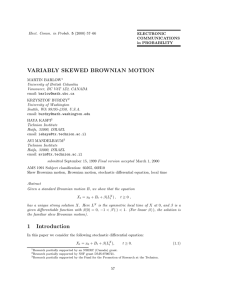 VARIABLY SKEWED BROWNIAN MOTION