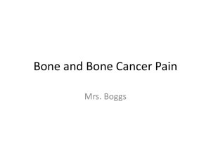 Bone and Bone Cancer Pain Mrs. Boggs
