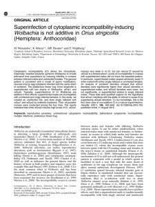 Superinfection of cytoplasmic incompatibility-inducing Wolbachia is not additive in Orius strigicollis