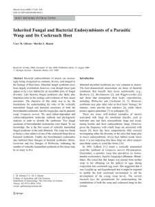 Inherited Fungal and Bacterial Endosymbionts of a Parasitic HOST MICROBE INTERACTIONS