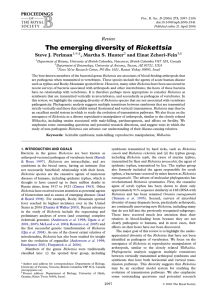 The emerging diversity of Rickettsia Review * Steve J. Perlman