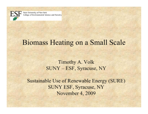 Biomass Heating on a Small Scale