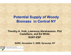 Potential Sup pply of Woody Biomass  in n Central NY