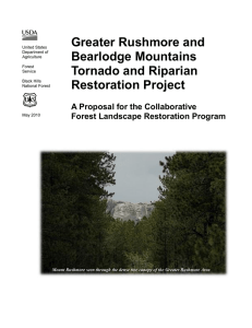 Greater Rushmore and Bearlodge Mountains Tornado and Riparian Restoration Project