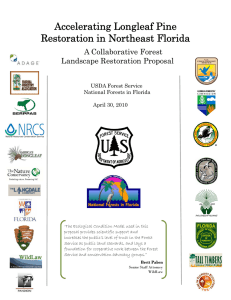 Accelerating Longleaf Pine Restoration in Northeast Florida A Collaborative Forest Landscape Restoration Proposal